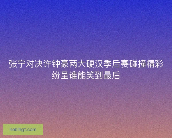张宁对决许钟豪两大硬汉季后赛碰撞精彩纷呈谁能笑到最后