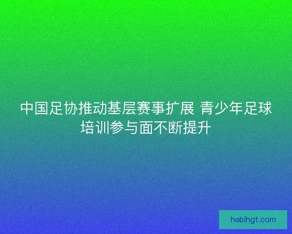 中国足协推动基层赛事扩展 青少年足球培训参与面不断提升